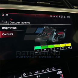 Audi E-tron GE Multicolor Ambiente Light QQ2 Audi 7 - Retrofit.nu - Shop 