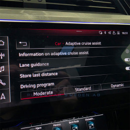 Audi E-tron GE Adaptive Cruise Control / ACC